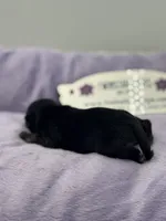 processed/16dbfd18-c7ab-4292-a994-64ff92b9ab60/listing/3c6b877c-6495-4a0a-b6ac-32944a4e8945/56877b87-7733-429b-a058-91983749b27c