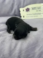 processed/16dbfd18-c7ab-4292-a994-64ff92b9ab60/listing/3c6b877c-6495-4a0a-b6ac-32944a4e8945/82a8a915-58dc-4161-aafb-5c063461530f