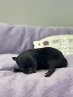 processed/16dbfd18-c7ab-4292-a994-64ff92b9ab60/listing/3c6b877c-6495-4a0a-b6ac-32944a4e8945/9610d49e-f277-471f-8221-27ba385a4581