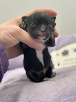 processed/16dbfd18-c7ab-4292-a994-64ff92b9ab60/listing/3c6b877c-6495-4a0a-b6ac-32944a4e8945/be7a6f60-9cc6-4f7c-8c6a-da8f0ddf26da