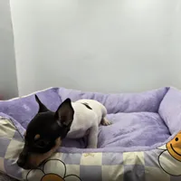 processed/16dbfd18-c7ab-4292-a994-64ff92b9ab60/listing/3fc6fe22-dc4e-4e91-a5a4-94edb5f7b270/1859aedc-b05d-401b-bc7c-3a0f957467fa