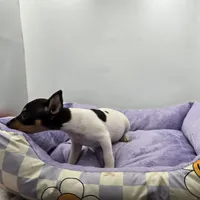 processed/16dbfd18-c7ab-4292-a994-64ff92b9ab60/listing/3fc6fe22-dc4e-4e91-a5a4-94edb5f7b270/19726195-7163-4dc9-a0cc-d67c21ed1de4