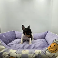 processed/16dbfd18-c7ab-4292-a994-64ff92b9ab60/listing/3fc6fe22-dc4e-4e91-a5a4-94edb5f7b270/2125b681-a025-403a-bce2-ee2d6fd9a325