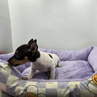 processed/16dbfd18-c7ab-4292-a994-64ff92b9ab60/listing/3fc6fe22-dc4e-4e91-a5a4-94edb5f7b270/58aad5c0-2dbe-4f40-a769-4c2a8f543521