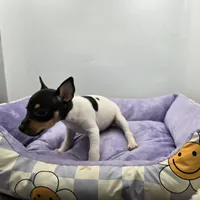 processed/16dbfd18-c7ab-4292-a994-64ff92b9ab60/listing/3fc6fe22-dc4e-4e91-a5a4-94edb5f7b270/70269a3c-2d3c-4377-950b-0df8e35fbc0a