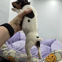 processed/16dbfd18-c7ab-4292-a994-64ff92b9ab60/listing/3fc6fe22-dc4e-4e91-a5a4-94edb5f7b270/7401d3f1-4ea3-40ba-bfa4-09331e2159f8