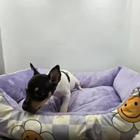 processed/16dbfd18-c7ab-4292-a994-64ff92b9ab60/listing/3fc6fe22-dc4e-4e91-a5a4-94edb5f7b270/7ddac287-dac4-4ddd-80cf-c152c085737c