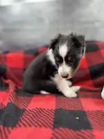 processed/16dbfd18-c7ab-4292-a994-64ff92b9ab60/listing/401a4716-ad9b-4dd4-bad2-fe4800b2fb1e/18c69831-1f80-4a33-8558-3add5986f9f7