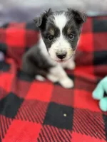 processed/16dbfd18-c7ab-4292-a994-64ff92b9ab60/listing/401a4716-ad9b-4dd4-bad2-fe4800b2fb1e/32765565-dfb5-4b2b-bc09-574de8fb1337