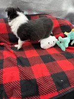 processed/16dbfd18-c7ab-4292-a994-64ff92b9ab60/listing/401a4716-ad9b-4dd4-bad2-fe4800b2fb1e/45d45d6e-b140-46df-a4ec-e9b62da8e30b