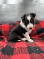 processed/16dbfd18-c7ab-4292-a994-64ff92b9ab60/listing/401a4716-ad9b-4dd4-bad2-fe4800b2fb1e/5295fc99-9e61-4211-bb52-971b2aca134f