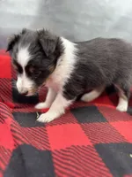 processed/16dbfd18-c7ab-4292-a994-64ff92b9ab60/listing/401a4716-ad9b-4dd4-bad2-fe4800b2fb1e/8a568f44-a755-4b02-bc86-227694e924f6