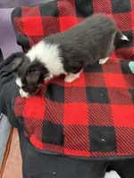 processed/16dbfd18-c7ab-4292-a994-64ff92b9ab60/listing/401a4716-ad9b-4dd4-bad2-fe4800b2fb1e/d5771486-e5eb-4e30-84c5-5465b635eb8b