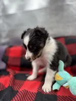 processed/16dbfd18-c7ab-4292-a994-64ff92b9ab60/listing/401a4716-ad9b-4dd4-bad2-fe4800b2fb1e/d99fb0b7-b585-421a-8f4f-9b59f72baa4d