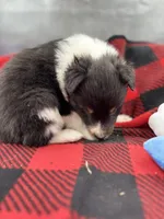 processed/16dbfd18-c7ab-4292-a994-64ff92b9ab60/listing/4d8c5508-378b-49b1-895c-885ef05b8c44/074038a2-f460-4e21-a2df-e545c7b28ada