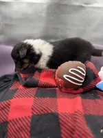 processed/16dbfd18-c7ab-4292-a994-64ff92b9ab60/listing/4d8c5508-378b-49b1-895c-885ef05b8c44/3844a8c5-095a-46eb-8762-2a22903ebbb7