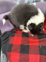 processed/16dbfd18-c7ab-4292-a994-64ff92b9ab60/listing/4d8c5508-378b-49b1-895c-885ef05b8c44/423ac8b4-92d4-4a91-85b8-bb3f8665d56b