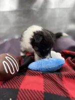 processed/16dbfd18-c7ab-4292-a994-64ff92b9ab60/listing/4d8c5508-378b-49b1-895c-885ef05b8c44/4f45a94a-1193-4685-9e10-4f107e99cde2