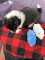 processed/16dbfd18-c7ab-4292-a994-64ff92b9ab60/listing/4d8c5508-378b-49b1-895c-885ef05b8c44/aef70e7d-e7c3-42a6-8a67-edbb7e694731