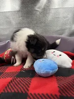 processed/16dbfd18-c7ab-4292-a994-64ff92b9ab60/listing/4d8c5508-378b-49b1-895c-885ef05b8c44/e8a6ac3b-4e15-4ed0-8b32-f3782444ba8f