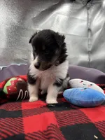 processed/16dbfd18-c7ab-4292-a994-64ff92b9ab60/listing/4d8c5508-378b-49b1-895c-885ef05b8c44/edf2f0e3-7e2e-4be3-aa4b-e84236be91cb