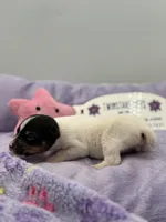 processed/16dbfd18-c7ab-4292-a994-64ff92b9ab60/listing/65602b80-7247-4fcb-a25e-d9bfecd685ec/10a0e782-7630-45cc-bbd5-2d8fd4d5df6d