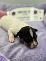 processed/16dbfd18-c7ab-4292-a994-64ff92b9ab60/listing/65602b80-7247-4fcb-a25e-d9bfecd685ec/1f2a8231-052f-4b88-8a85-96ec947daaf5