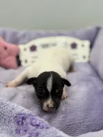 processed/16dbfd18-c7ab-4292-a994-64ff92b9ab60/listing/65602b80-7247-4fcb-a25e-d9bfecd685ec/4a4f34d1-7887-4b90-9f50-df187eee56e8