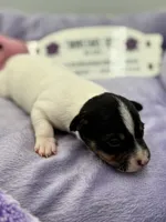 processed/16dbfd18-c7ab-4292-a994-64ff92b9ab60/listing/65602b80-7247-4fcb-a25e-d9bfecd685ec/6bf8d615-b10a-4bd8-a8ae-4f1a2fa6683c