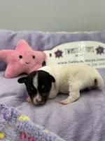 processed/16dbfd18-c7ab-4292-a994-64ff92b9ab60/listing/65602b80-7247-4fcb-a25e-d9bfecd685ec/7685fd1e-ff2b-4a14-b9d6-7abc5420f0f5