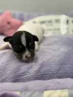 processed/16dbfd18-c7ab-4292-a994-64ff92b9ab60/listing/65602b80-7247-4fcb-a25e-d9bfecd685ec/90fbd62d-8260-4a33-bba8-b28c2aba989c