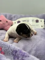 processed/16dbfd18-c7ab-4292-a994-64ff92b9ab60/listing/65602b80-7247-4fcb-a25e-d9bfecd685ec/d6a2eadd-bd72-49de-b68d-a92da505f6c3