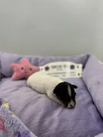 processed/16dbfd18-c7ab-4292-a994-64ff92b9ab60/listing/65602b80-7247-4fcb-a25e-d9bfecd685ec/e89bfb1d-6db9-448a-9957-5d01c08633dd