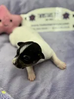 processed/16dbfd18-c7ab-4292-a994-64ff92b9ab60/listing/65602b80-7247-4fcb-a25e-d9bfecd685ec/f01925c3-a206-43e9-aa46-21b68f81db61