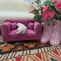 Full AKC Hermione Female , a female Chihuahua for sale in Cullowhee, NC – 4 of 7