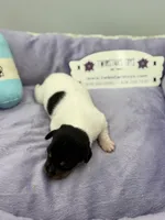 processed/16dbfd18-c7ab-4292-a994-64ff92b9ab60/listing/9646ba8f-9f04-4a68-9505-8df96adaf1fa/12601f5f-288f-454c-b5b0-12202d689b90