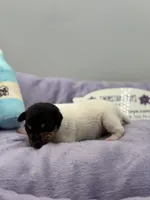 processed/16dbfd18-c7ab-4292-a994-64ff92b9ab60/listing/9646ba8f-9f04-4a68-9505-8df96adaf1fa/66988fff-90d3-42c4-8272-88f0645231d1