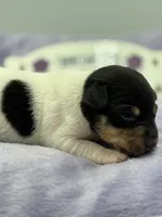 processed/16dbfd18-c7ab-4292-a994-64ff92b9ab60/listing/9646ba8f-9f04-4a68-9505-8df96adaf1fa/6d6525f8-81bd-49ff-a68a-54778abef0e5