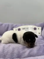 processed/16dbfd18-c7ab-4292-a994-64ff92b9ab60/listing/9646ba8f-9f04-4a68-9505-8df96adaf1fa/730c589f-2a3b-4a7c-933f-60ee9d85c95c