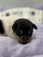 processed/16dbfd18-c7ab-4292-a994-64ff92b9ab60/listing/9646ba8f-9f04-4a68-9505-8df96adaf1fa/a554d749-7b46-49e7-87b6-72e7c1a85add