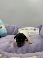 processed/16dbfd18-c7ab-4292-a994-64ff92b9ab60/listing/9646ba8f-9f04-4a68-9505-8df96adaf1fa/ae257577-36fd-4006-922a-35ccf6bb7a2c