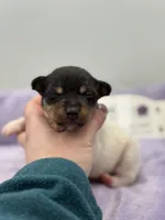 processed/16dbfd18-c7ab-4292-a994-64ff92b9ab60/listing/9646ba8f-9f04-4a68-9505-8df96adaf1fa/d65f9680-bbe4-491a-8c3d-3a9e6d5db5a9