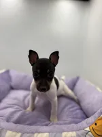 processed/16dbfd18-c7ab-4292-a994-64ff92b9ab60/listing/a2acee57-430e-4fca-aebe-e4ecb32922a5/676d1c3d-9dc4-4f29-bf4f-2fab85b77451