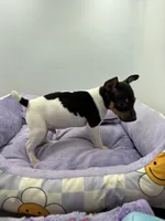 processed/16dbfd18-c7ab-4292-a994-64ff92b9ab60/listing/a2acee57-430e-4fca-aebe-e4ecb32922a5/94ca1d96-da12-468f-a2ad-d9fe71305660