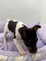 processed/16dbfd18-c7ab-4292-a994-64ff92b9ab60/listing/a2acee57-430e-4fca-aebe-e4ecb32922a5/96b18bff-bafe-45a3-b48a-2c94ce8f7485