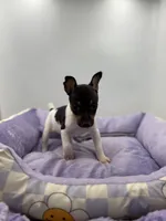 processed/16dbfd18-c7ab-4292-a994-64ff92b9ab60/listing/a2acee57-430e-4fca-aebe-e4ecb32922a5/a664ab3b-a9e7-4093-af97-ffaa07dd15ba