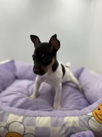 processed/16dbfd18-c7ab-4292-a994-64ff92b9ab60/listing/a2acee57-430e-4fca-aebe-e4ecb32922a5/ab7dcab0-68d8-447c-b88a-67c159f15278