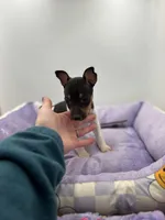 processed/16dbfd18-c7ab-4292-a994-64ff92b9ab60/listing/a2acee57-430e-4fca-aebe-e4ecb32922a5/bec3f31d-dd3c-47d6-8864-90ba4e44354c