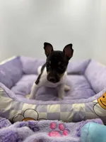 processed/16dbfd18-c7ab-4292-a994-64ff92b9ab60/listing/a2acee57-430e-4fca-aebe-e4ecb32922a5/c51a348b-c5ac-4765-bef1-582df1e64ce0