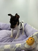 processed/16dbfd18-c7ab-4292-a994-64ff92b9ab60/listing/a2acee57-430e-4fca-aebe-e4ecb32922a5/d36a0244-5faa-4543-99f4-9c33d221839d